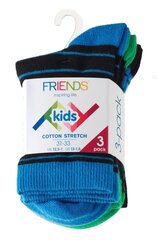 Классические детские носки Friends, 3 пары в упаковке цена и информация | Носки, колготки для мальчиков | pigu.lt