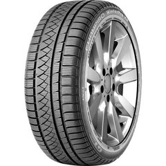 GT RADIAL Winterpro HP 225/55 17 101V цена и информация | Зимняя резина | pigu.lt