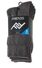 Мужские хлопчатобумажные носки Friends, 5 пар в упаковке цена и информация | Мужские носки | pigu.lt