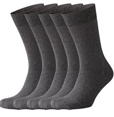 Мужские хлопчатобумажные носки Friends, 5 пар в упаковке цена и информация | Мужские носки | pigu.lt