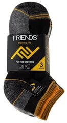 Короткие мужские рабочие носки с махровой вязкой Friends, 3 пары в упаковке цена и информация | Мужские носки | pigu.lt