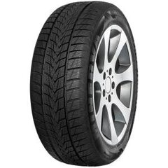 MINERVA Frostrack UHP 215/50R17 95V XL цена и информация | Зимние шины | pigu.lt