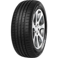 Tristar Ecopower4 205/60R16 92H цена и информация | Летняя резина | pigu.lt