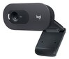 Logitech HD Webcam C505e Black kaina ir informacija | Kompiuterio (WEB) kameros | pigu.lt