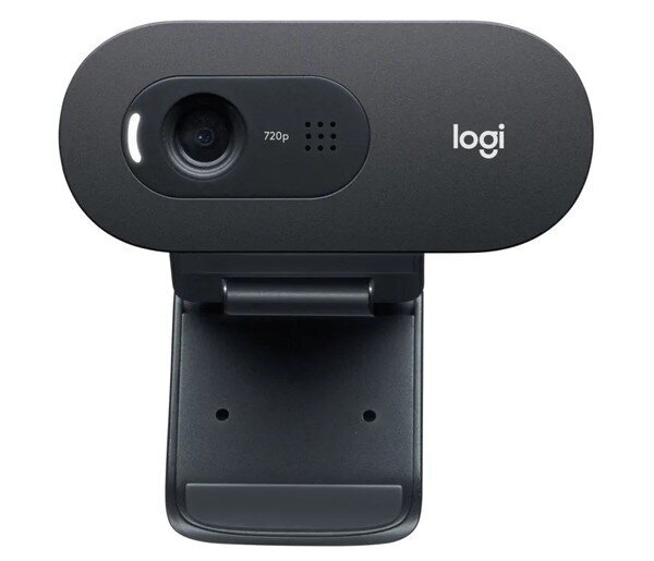 Logitech HD Webcam C505e Black цена и информация | Kompiuterio (WEB) kameros | pigu.lt