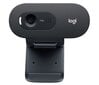 Logitech HD Webcam C505e Black kaina ir informacija | Kompiuterio (WEB) kameros | pigu.lt