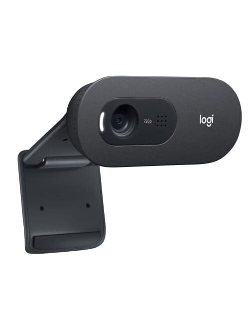 Logitech HD Webcam C505e Black цена и информация | Kompiuterio (WEB) kameros | pigu.lt