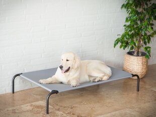 Hobbydog gultas Iron Grey L, 80x42x15 cm kaina ir informacija | Guoliai, pagalvėlės | pigu.lt