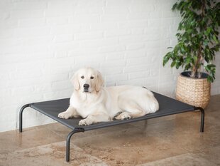 Hobbydog gultas Iron Dark Grey L, 80x42x15 cm kaina ir informacija | Guoliai, pagalvėlės | pigu.lt