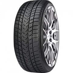 GRIPMAX Suregrip Pro Winter 245/35R19 93V XL цена и информация | Зимняя резина | pigu.lt