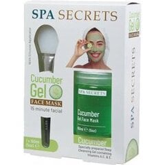 Veido kaukė + šepetėlis Spa Secrets Cucumber Gel, 140 ml kaina ir informacija | Veido kaukės, paakių kaukės | pigu.lt