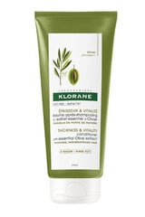 Кондиционер для волос с экстрактом оливок Klorane, 200 мл цена и информация | Бальзамы, кондиционеры | pigu.lt