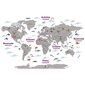 Interjero lipdukas „Pasaulio šalių žemėlapis su gyvūnais“, pilkas kaina ir informacija | Interjero lipdukai | pigu.lt