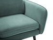 Fotelis Kooko Home Lento, žalias/juodas kaina ir informacija | Svetainės foteliai | pigu.lt