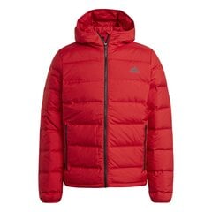 Striukė vyrams Adidas Helionic Hooded Down, raudona kaina ir informacija | Vyriškos striukės | pigu.lt