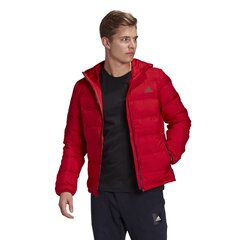 Striukė vyrams Adidas Helionic Hooded Down, raudona kaina ir informacija | Vyriškos striukės | pigu.lt