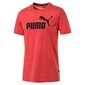 Marškinėliai vyrams Puma Ess + Heather цена и информация | Vyriški marškinėliai | pigu.lt