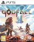 Godfall (PS5) kaina ir informacija | Kompiuteriniai žaidimai | pigu.lt