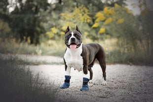 Amiplay šunų bateliai Bristol, tamsiai mėlyni, XXL kaina ir informacija | Drabužiai šunims | pigu.lt
