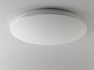 LED светильник G.LUX GR-LED-CIRCLE-36W цена и информация | Потолочные светильники | pigu.lt