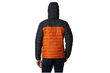 Striukė vyrams Columbia Powder Lite Hooded Jacket 1693931820, oranžinė kaina ir informacija | Vyriškos striukės | pigu.lt