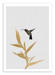 Plakatas Hummingbird and flower kaina ir informacija | Reprodukcijos, paveikslai | pigu.lt