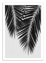 Plakatas Palm Leaf Part 3 Black and White kaina ir informacija | Reprodukcijos, paveikslai | pigu.lt