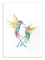 Plakatas Happy Humminbirds kaina ir informacija | Reprodukcijos, paveikslai | pigu.lt