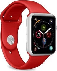 Закаленное стекло Puro для Apple Watch 7 (45 мм) цена и информация | Аксессуары для смарт-часов и браслетов | pigu.lt