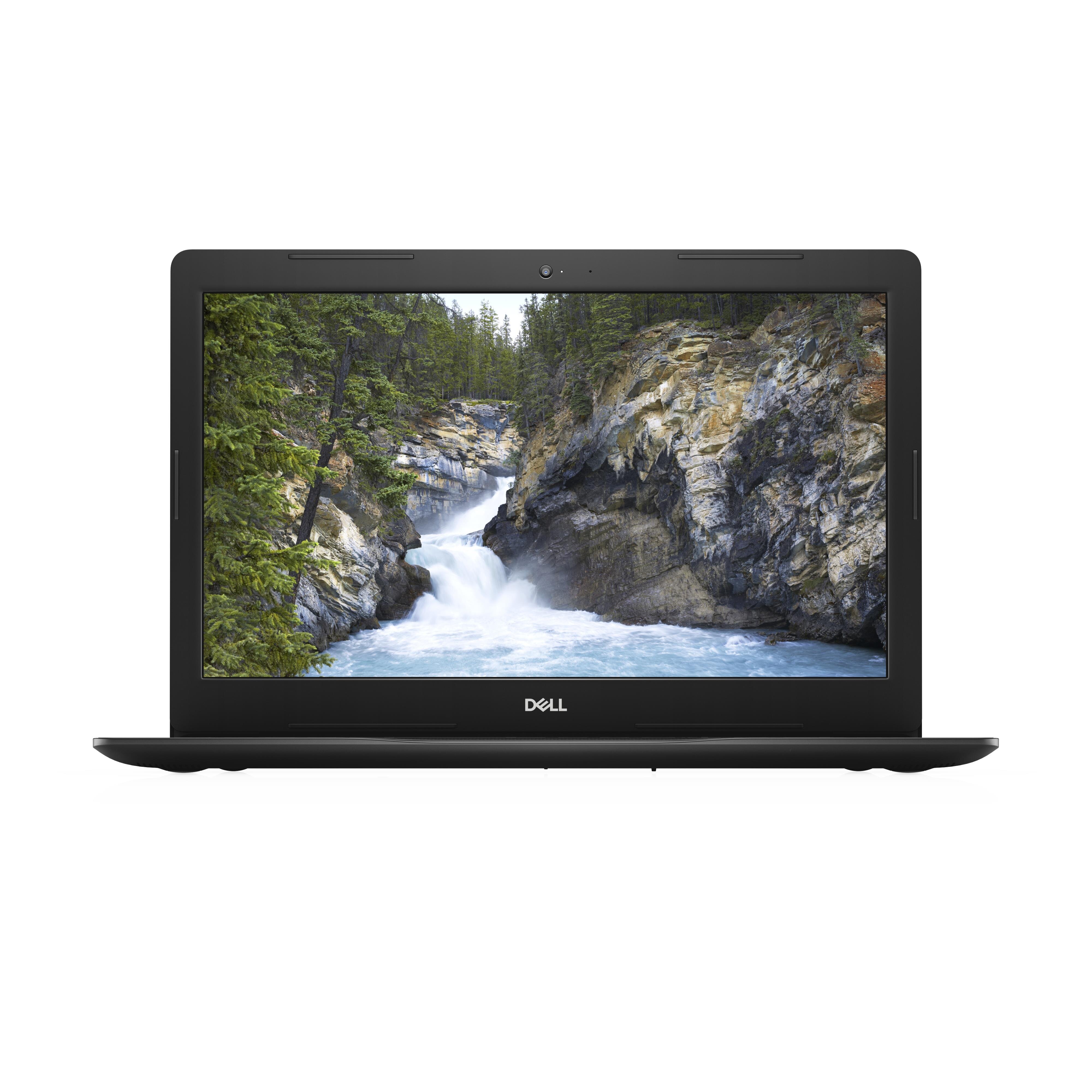 Dell N306ZVN3591EMEA01_2101_W10