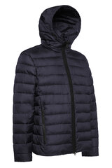 Куртка мужская Geox Dennie Hood JKT цена и информация | Мужские куртки | pigu.lt