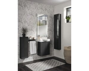 Шкаф-пенал для ванной комнаты Fackelmann Luna 2D, темно-серый цена и информация | Шкафчики для ванной | pigu.lt