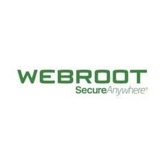 Webroot 11100310 цена и информация | Антивирусные программы | pigu.lt