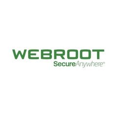 Webroot 11100150 kaina ir informacija | Antivirusinės programos | pigu.lt