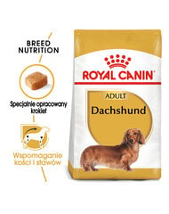 Royal Canin Dachshund suaugusiems šunims, 2x7.5 kg kaina ir informacija | Sausas maistas šunims | pigu.lt