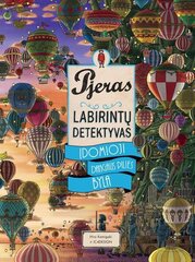 Pjeras labirintų detektyvas. Įdomioji dangaus pilies byla цена и информация | Книги для детей | pigu.lt