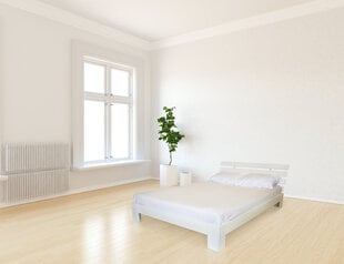 Кровать из березы Tango Plus цена и информация | Кровати | pigu.lt