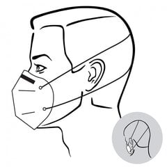 Respiratoriai Rysam FFP3, 5vnt kaina ir informacija | Galvos apsauga | pigu.lt