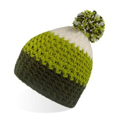 Вязаная шапка-бини с внутренней флисовой лентой, зеленый / белый  цена и информация | Мужские шарфы, шапки, перчатки | pigu.lt