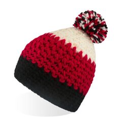 Megzta kepurė su vidine vilnos juosta, vyrams, Everest kaina ir informacija | Vyriški šalikai, kepurės, pirštinės | pigu.lt