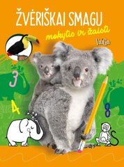 Žvėriškai smagu mokytis ir žaisti. Koalos kaina ir informacija | Lavinamosios knygos | pigu.lt
