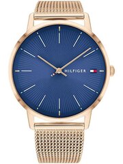 Tommy Hilfiger moteriškas laikrodis 1782246, aukso/mėlynos spalvos kaina ir informacija | Moteriški laikrodžiai | pigu.lt