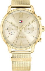 Женские часы Tommy Hilfiger 1782302 цена и информация | Женские часы | pigu.lt
