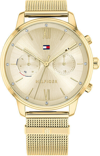 Tommy Hilfiger moteriškas laikrodis, aukso spalvos kaina ir informacija | Moteriški laikrodžiai | pigu.lt