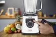 Tefal BL811138 цена и информация | Kokteilinės | pigu.lt