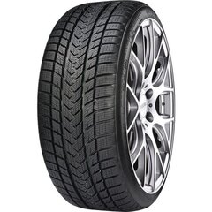 GRIPMAX Suregrip Pro Winter 285/30R21 100V XL цена и информация | Зимняя резина | pigu.lt