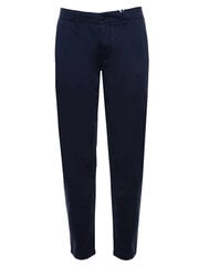 Мужские брюки Tommy Jeans, синие цена и информация | Мужские брюки FINIS | pigu.lt