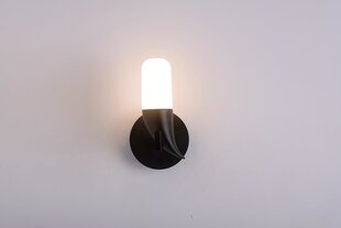 Ledea настенный светильник Sakai цена и информация | Настенные светильники | pigu.lt