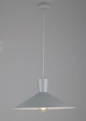 Ledea светильник Elista Grey цена и информация | Люстры | pigu.lt