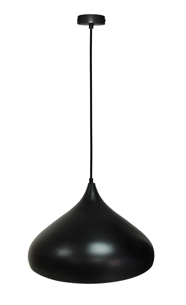 Ledea pakabinamas šviestuvas Pendant Viborg 420 kaina ir informacija | Pakabinami šviestuvai | pigu.lt